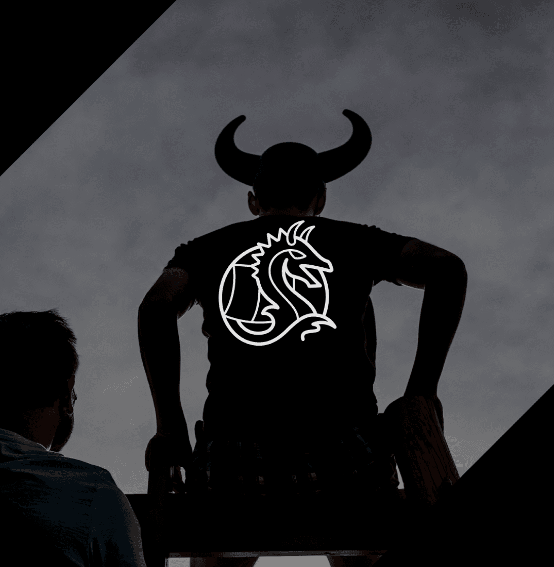 project: mobile vikings